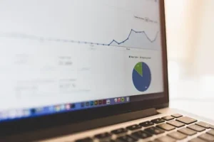 Référencement Naturel SEO